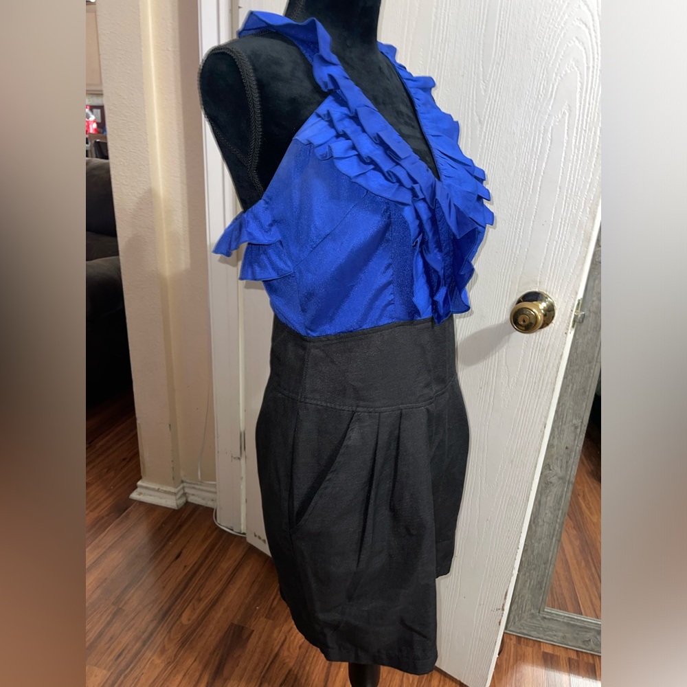 Blue/violet dress